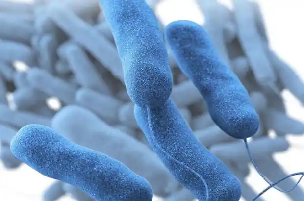 Lejyonella ile Savaş