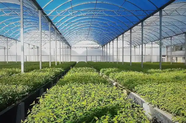 Seracılıkta Klordioksit Kullanımı