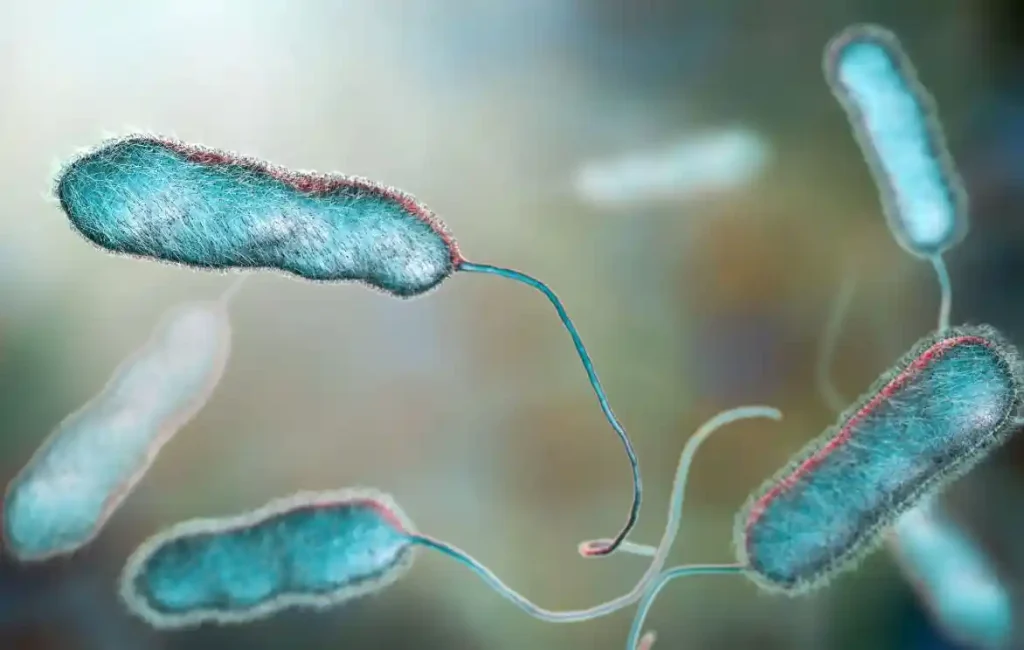 Lejyonella Bakterisine Karşı Klordioksit Kullanımı