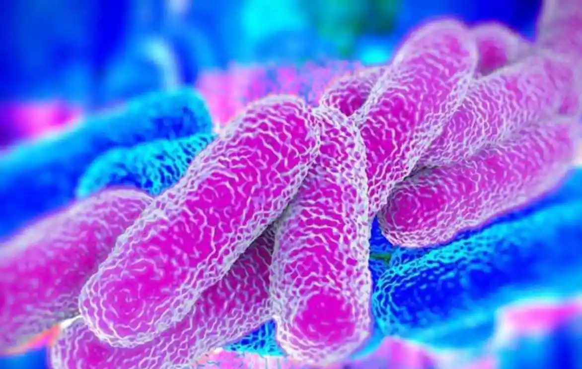 Lejyonella Bakterisine Karşı Klordioksit